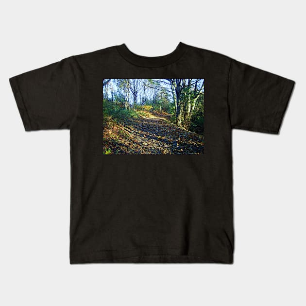 An Autumn Walk Kids T-Shirt by Ladymoose